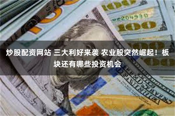 炒股配资网站 三大利好来袭 农业股突然崛起！板块还有哪些投资机会