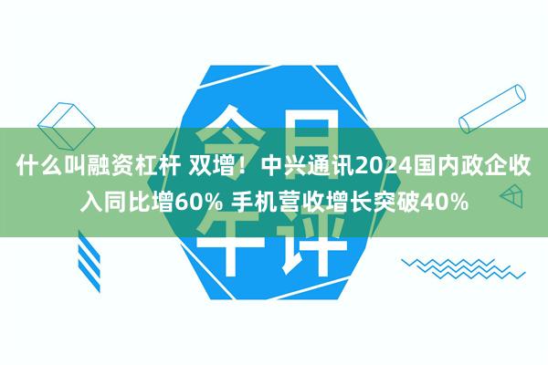 什么叫融资杠杆 双增！中兴通讯2024国内政企收入同比增60% 手机营收增长突破40%