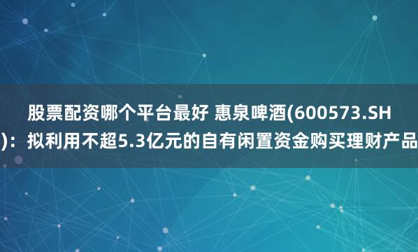 股票配资哪个平台最好 惠泉啤酒(600573.SH)：拟利用不超5.3亿元的自有闲置资金购买理财产品