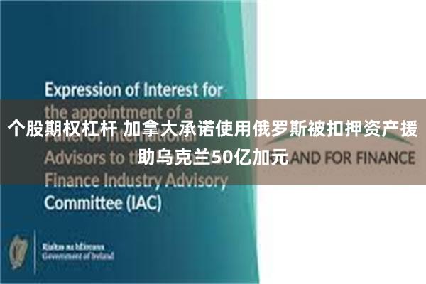 个股期权杠杆 加拿大承诺使用俄罗斯被扣押资产援助乌克兰50亿加元