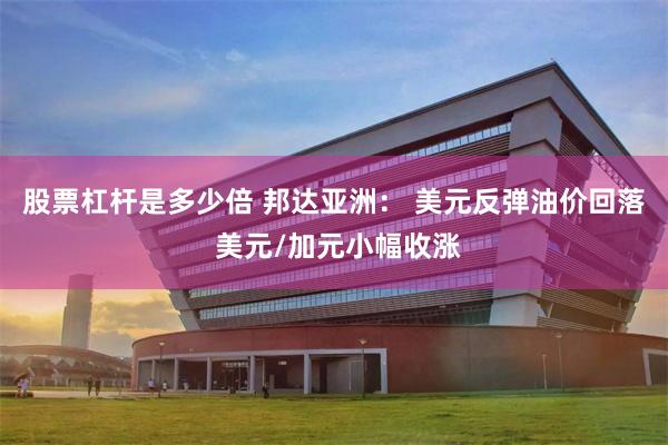股票杠杆是多少倍 邦达亚洲： 美元反弹油价回落 美元/加元小幅收涨