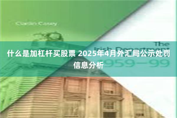 什么是加杠杆买股票 2025年4月外汇局公示处罚信息分析