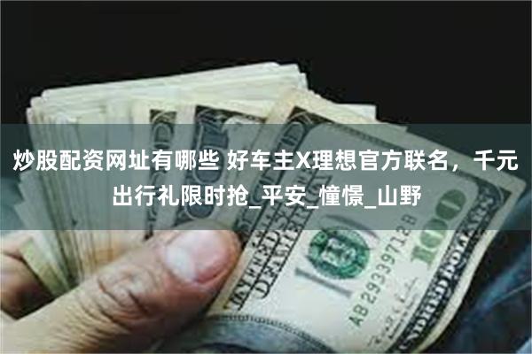 炒股配资网址有哪些 好车主X理想官方联名，千元出行礼限时抢_平安_憧憬_山野
