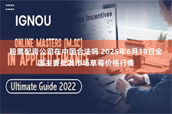 股票配资公司在中国合法吗 2025年6月19日全国主要批发市场草莓价格行情