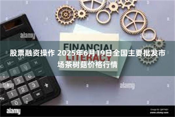 股票融资操作 2025年6月19日全国主要批发市场茶树菇价格行情