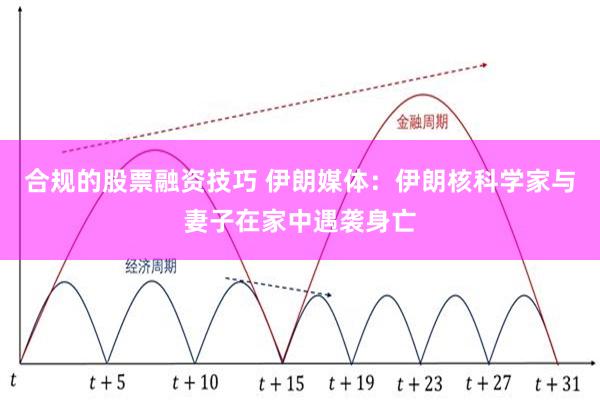 合规的股票融资技巧 伊朗媒体：伊朗核科学家与妻子在家中遇袭身亡