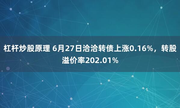 杠杆炒股原理 6月27日洽洽转债上涨0.16%，转股溢价率202.01%