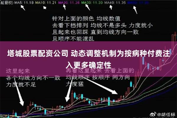 塔城股票配资公司 动态调整机制为按病种付费注入更多确定性