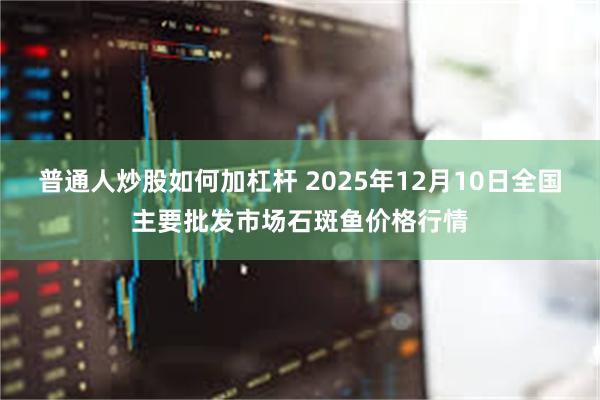 普通人炒股如何加杠杆 2025年12月10日全国主要批发市场石斑鱼价格行情