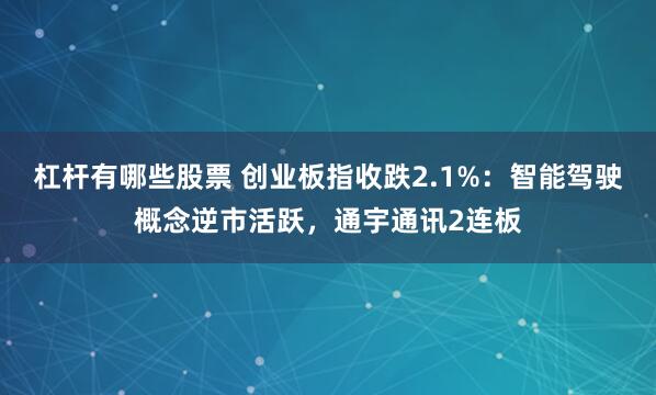 杠杆有哪些股票 创业板指收跌2.1%：智能驾驶概念逆市活跃，通宇通讯2连板