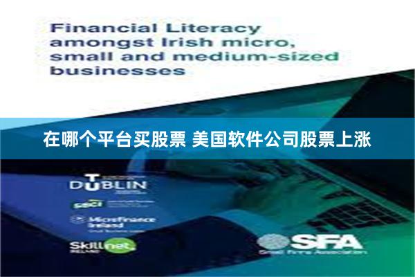在哪个平台买股票 美国软件公司股票上涨