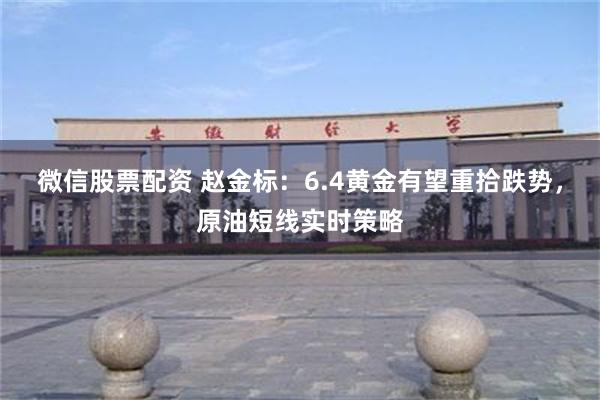 微信股票配资 赵金标：6.4黄金有望重拾跌势，原油短线实时策略