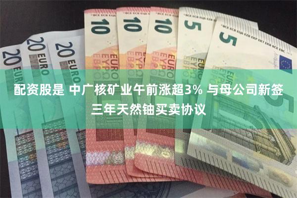 配资股是 中广核矿业午前涨超3% 与母公司新签三年天然铀买卖协议