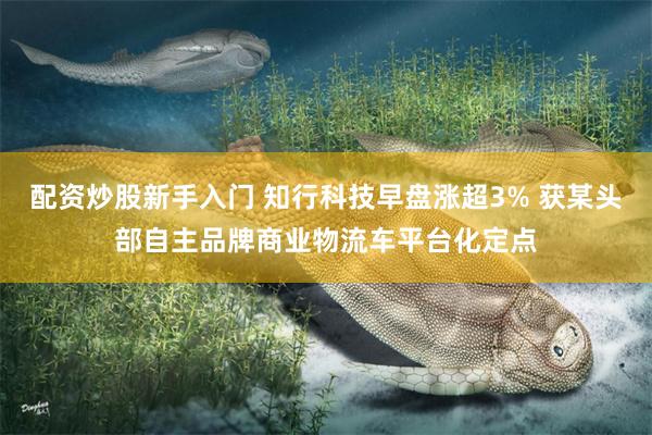 配资炒股新手入门 知行科技早盘涨超3% 获某头部自主品牌商业物流车平台化定点