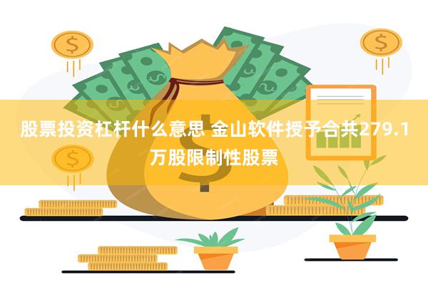 股票投资杠杆什么意思 金山软件授予合共279.1万股限制性股票