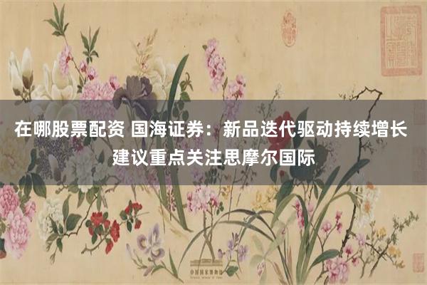 在哪股票配资 国海证券：新品迭代驱动持续增长 建议重点关注思摩尔国际