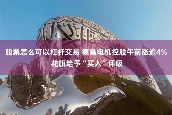 股票怎么可以杠杆交易 德昌电机控股午前涨逾4% 花旗给予“买入”评级