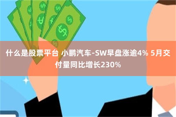 什么是股票平台 小鹏汽车-SW早盘涨逾4% 5月交付量同比增长230%