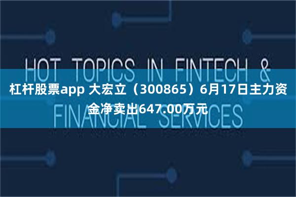 杠杆股票app 大宏立（300865）6月17日主力资金净卖出647.00万元