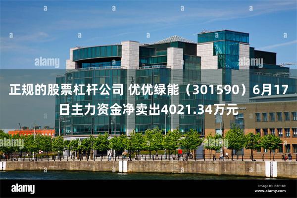 正规的股票杠杆公司 优优绿能（301590）6月17日主力资金净卖出4021.34万元