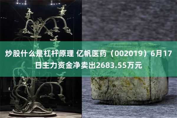 炒股什么是杠杆原理 亿帆医药（002019）6月17日主力资金净卖出2683.55万元