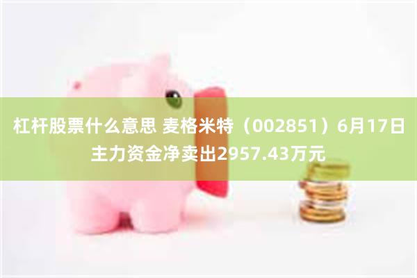 杠杆股票什么意思 麦格米特（002851）6月17日主力资金净卖出2957.43万元