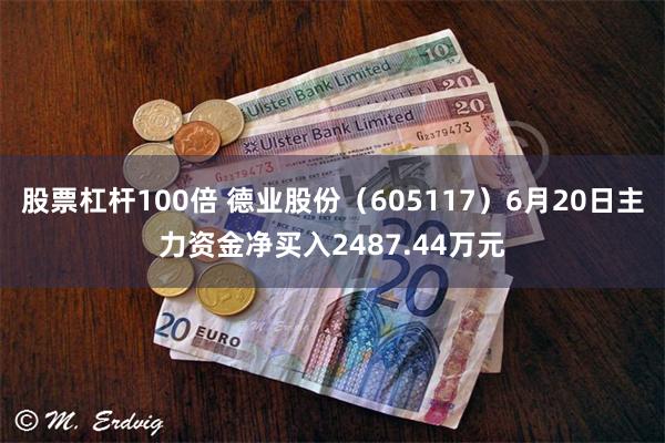 股票杠杆100倍 德业股份（605117）6月20日主力资金净买入2487.44万元