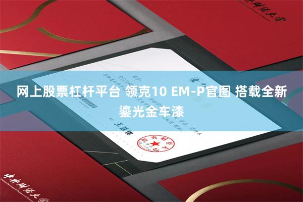 网上股票杠杆平台 领克10 EM-P官图 搭载全新鎏光金车漆