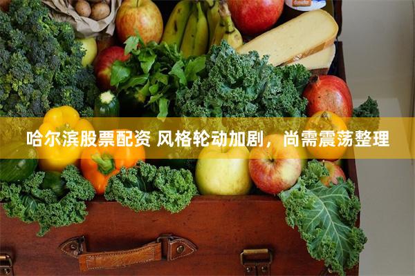 哈尔滨股票配资 风格轮动加剧，尚需震荡整理