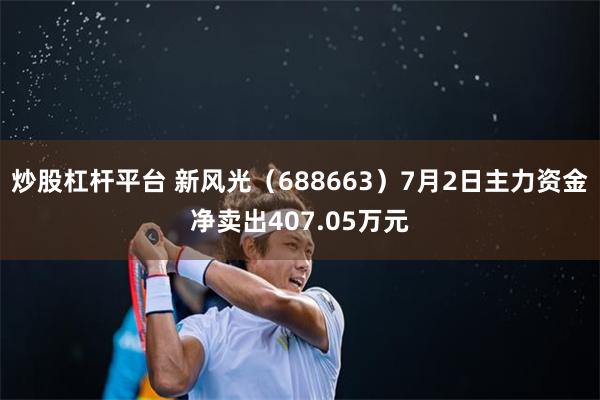 炒股杠杆平台 新风光（688663）7月2日主力资金净卖出407.05万元