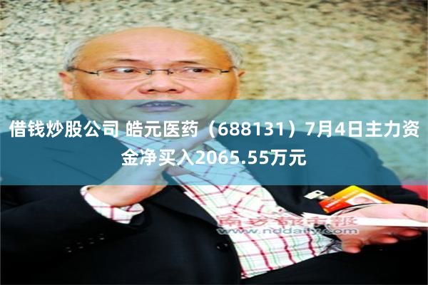 借钱炒股公司 皓元医药（688131）7月4日主力资金净买入2065.55万元