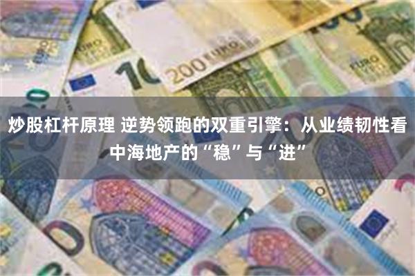 炒股杠杆原理 逆势领跑的双重引擎:从业绩韧性看中海地产的“稳”与“进”