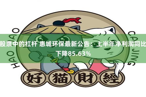 股票中的杠杆 惠城环保最新公告：上半年净利润同比下降85.63%