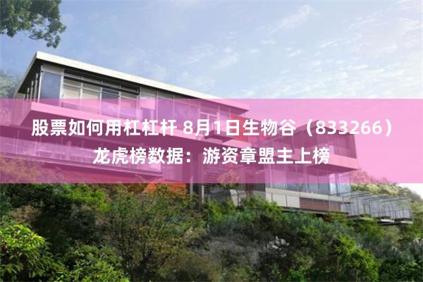 股票如何用杠杠杆 8月1日生物谷(833266)龙虎榜数据:游资章盟主上榜