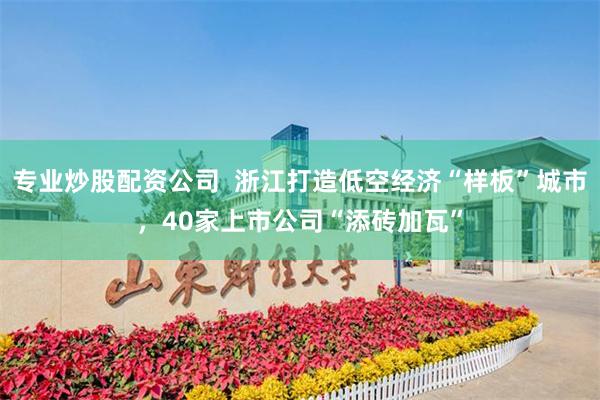 专业炒股配资公司  浙江打造低空经济“样板”城市，40家上市公司“添砖加瓦”