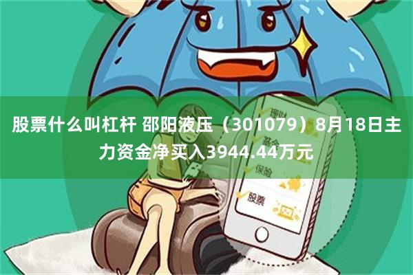 股票什么叫杠杆 邵阳液压（301079）8月18日主力资金净买入3944.44万元
