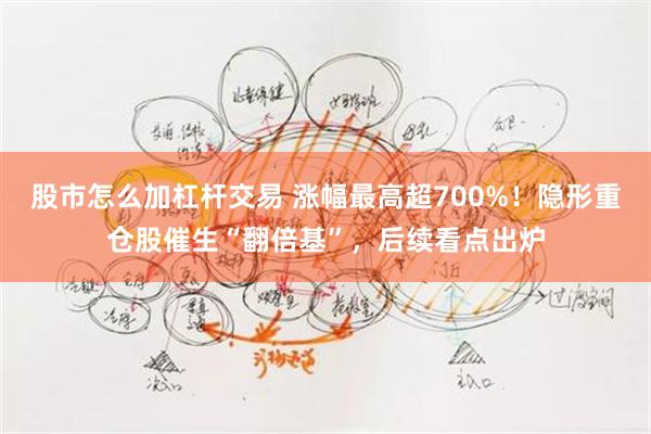 股市怎么加杠杆交易 涨幅最高超700%！隐形重仓股催生“翻倍基”，后续看点出炉