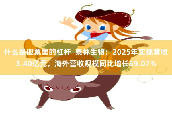 什么是股票里的杠杆  泰林生物：2025年实现营收3.40亿元，海外营收规模同比增长69.07%