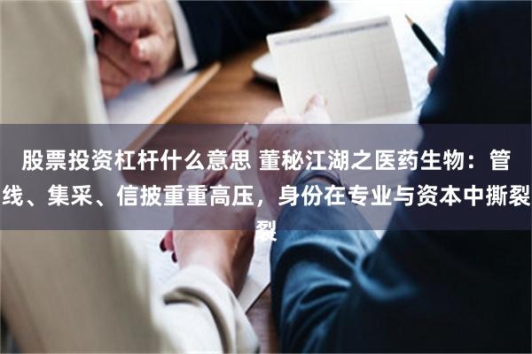 股票投资杠杆什么意思 董秘江湖之医药生物:管线、集采、信披重重高压,身份在专业与资本中撕裂