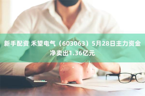 新手配资 禾望电气(603063)5月28日主力资金净卖出1.36亿元