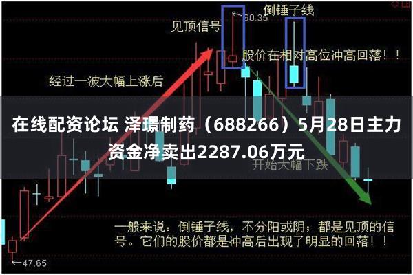 在线配资论坛 泽璟制药（688266）5月28日主力资金净卖出2287.06万元