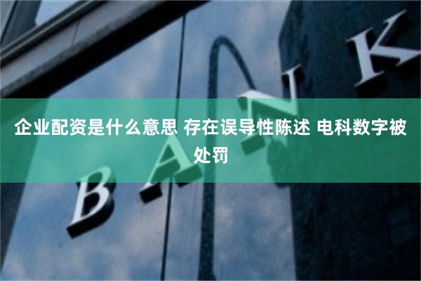 企业配资是什么意思 存在误导性陈述 电科数字被处罚