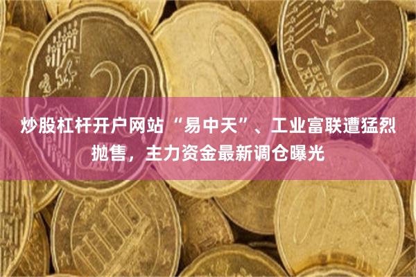 炒股杠杆开户网站 “易中天”、工业富联遭猛烈抛售，主力资金最新调仓曝光