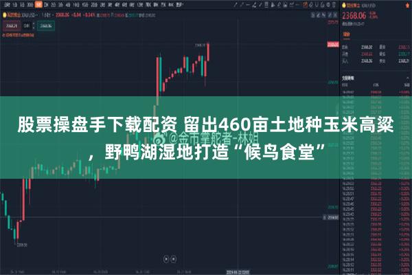 股票操盘手下载配资 留出460亩土地种玉米高粱,野鸭湖湿地打造“候鸟食堂”