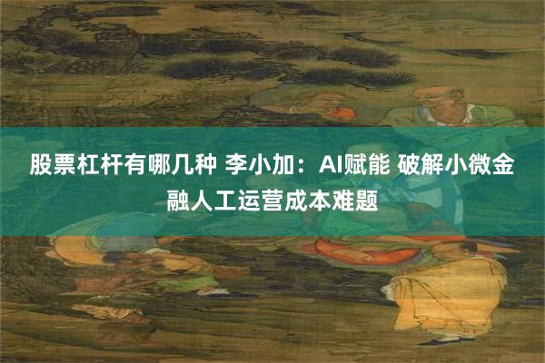 股票杠杆有哪几种 李小加:AI赋能 破解小微金融人工运营成本难题