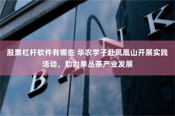 股票杠杆软件有哪些 华农学子赴凤凰山开展实践活动，助力单丛茶产业发展