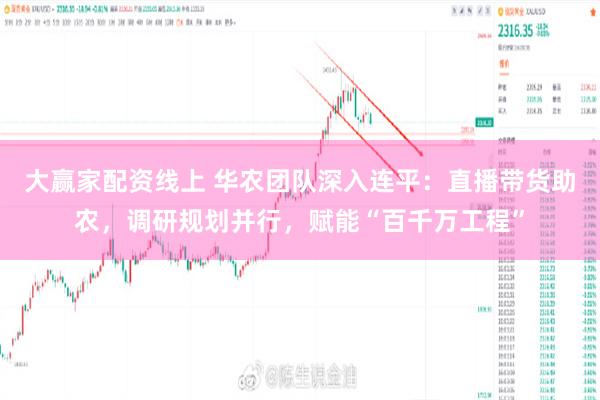 大赢家配资线上 华农团队深入连平：直播带货助农，调研规划并行，赋能“百千万工程”