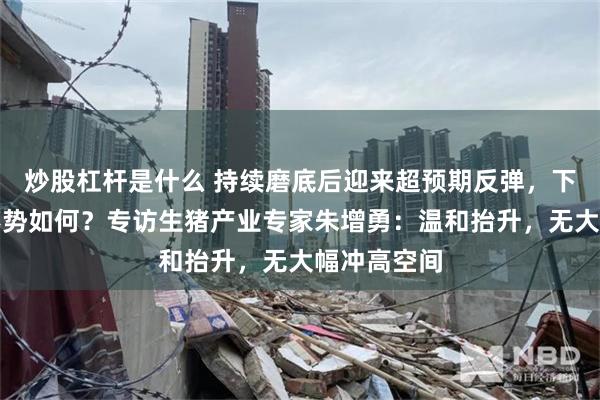 炒股杠杆是什么 持续磨底后迎来超预期反弹，下半年猪价形势如何？专访生猪产业专家朱增勇：温和抬升，无大幅冲高空间
