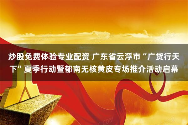 炒股免费体验专业配资 广东省云浮市“广货行天下”夏季行动暨郁南无核黄皮专场推介活动启幕