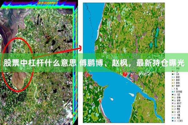 股票中杠杆什么意思 傅鹏博、赵枫，最新持仓曝光